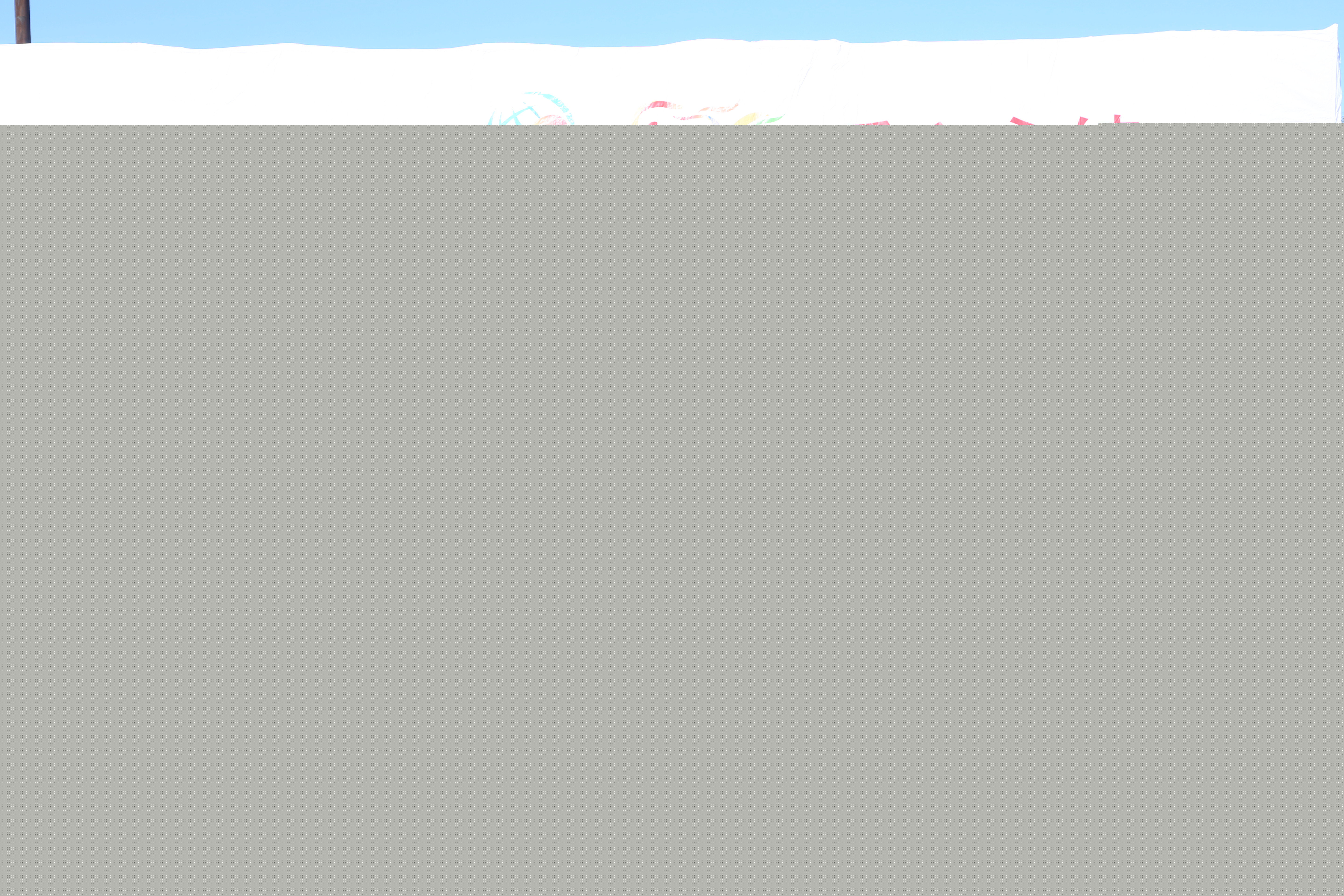 第194所 杜尔伯特蒙古族自治县铁东星空网页版登录入口徐超小学