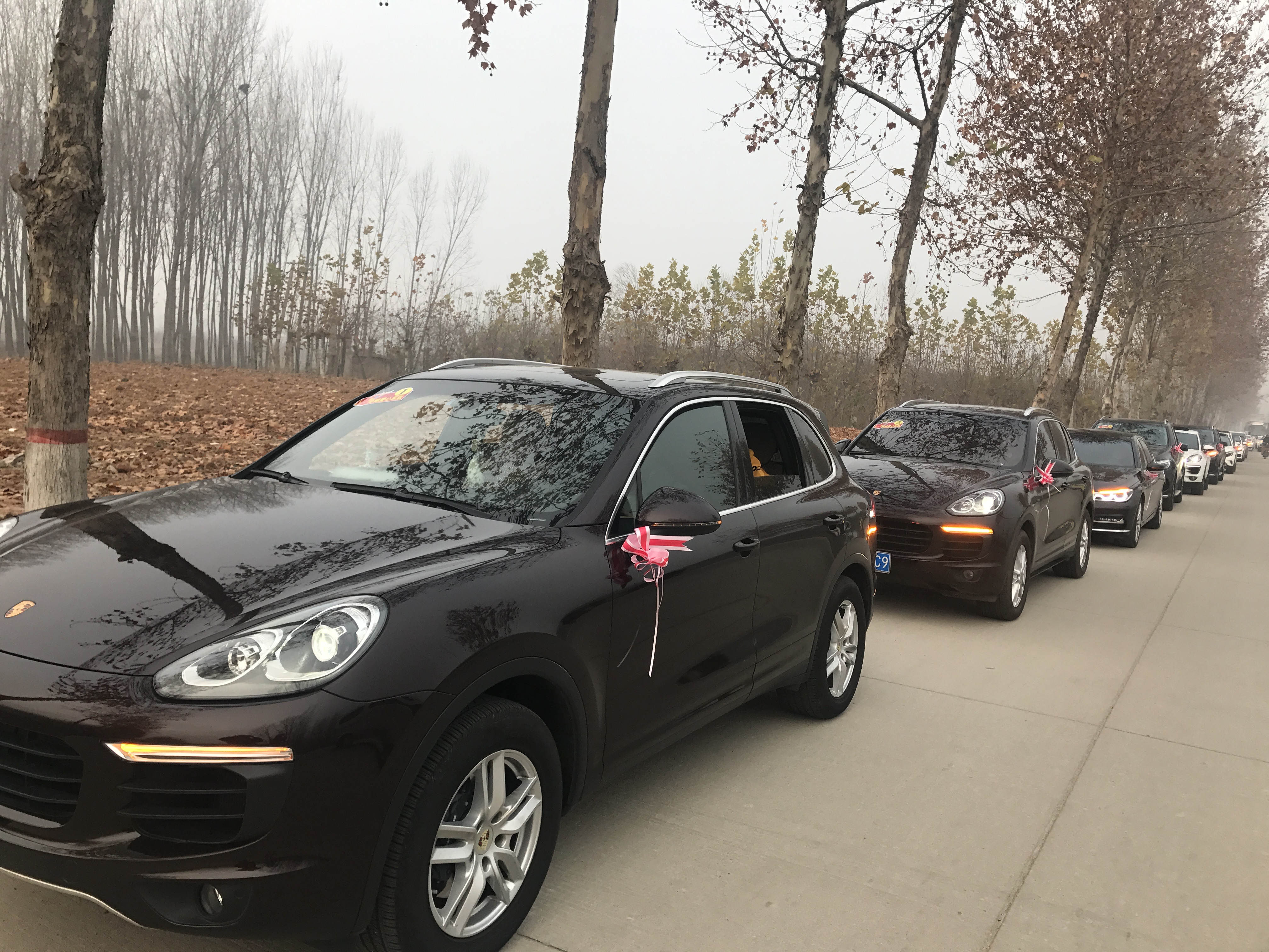 第183所 泰安市岱岳区良庄镇星空网页版登录入口李娜小学