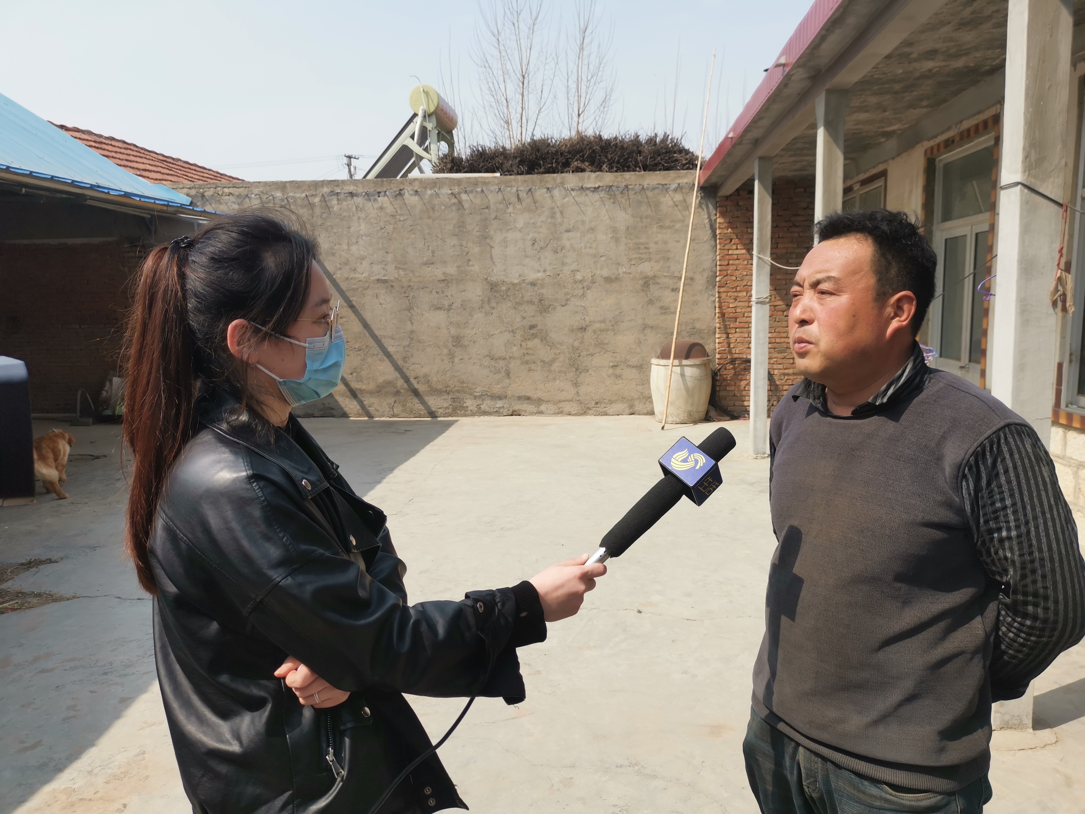 第209所 平度市崔家集镇状元府星空网页版登录入口刘丽新小学 第209所 平度市崔家集镇状元府星空网页版登录入口刘丽新小学