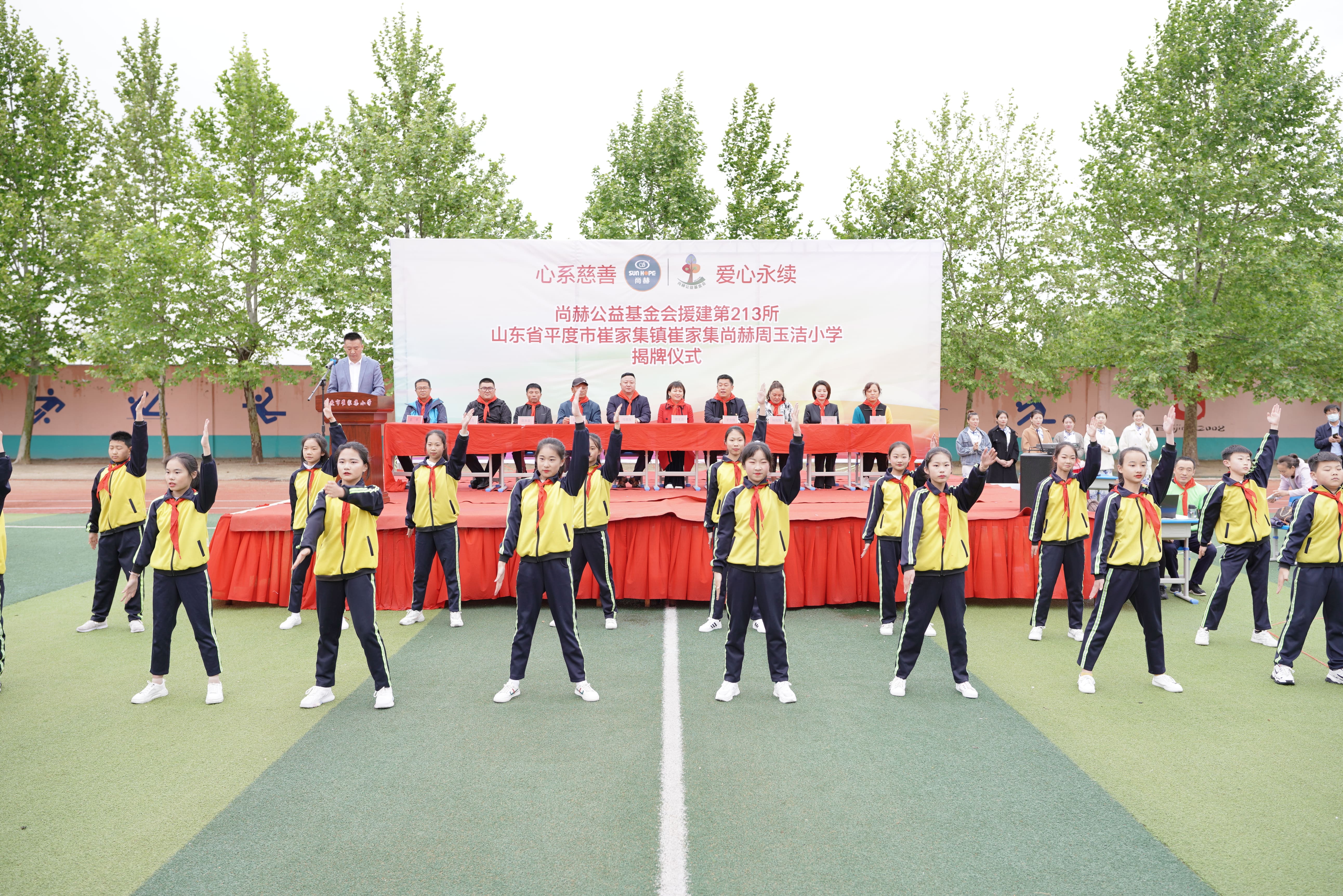 第213所 平度市崔家集镇崔家集星空网页版登录入口周玉洁小学