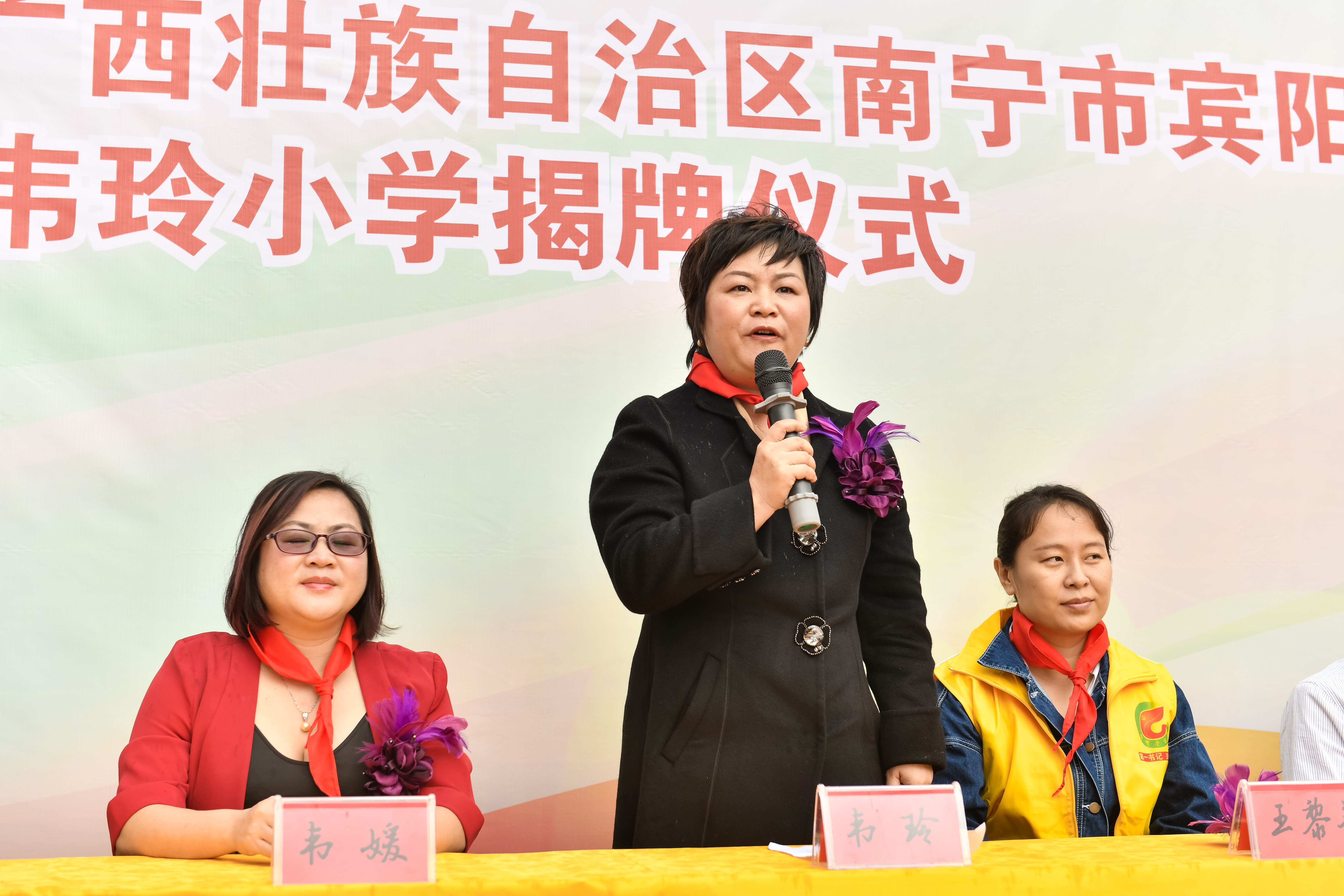 第184所 南宁市宾阳县思陇镇昆仑村星空网页版登录入口韦玲小学 第184所 南宁市宾阳县思陇镇昆仑村星空网页版登录入口韦玲小学